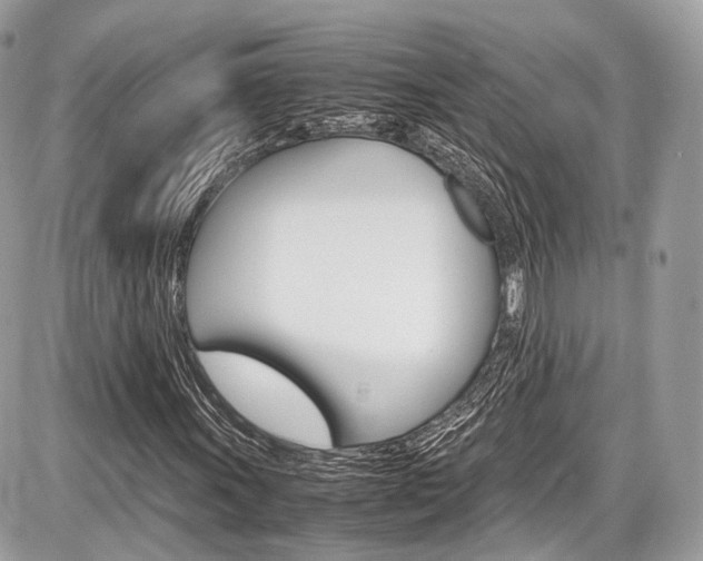 X0000087011011200704161300