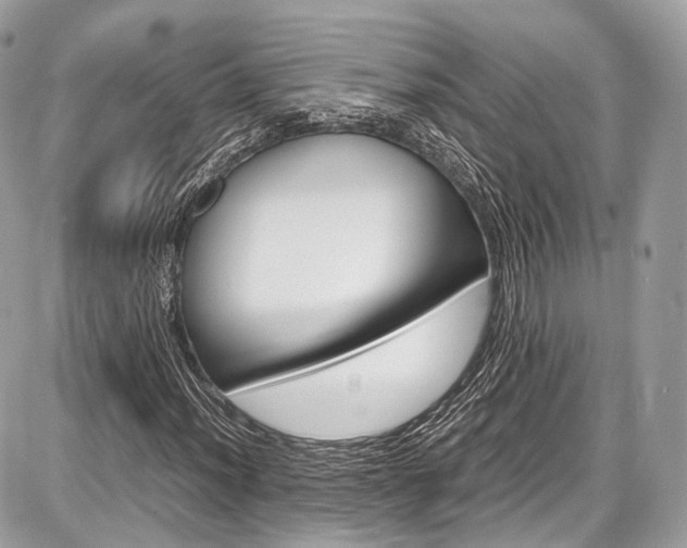 X0000087011012200704161300