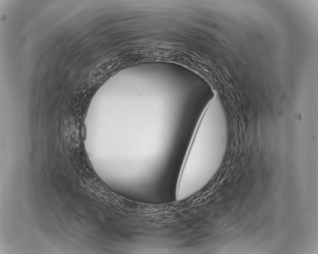 X0000087011013200704161300