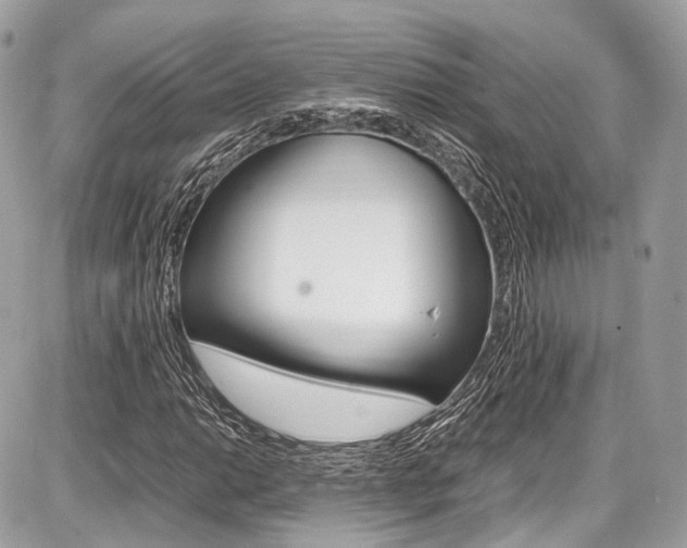 X0000087011014200704161300