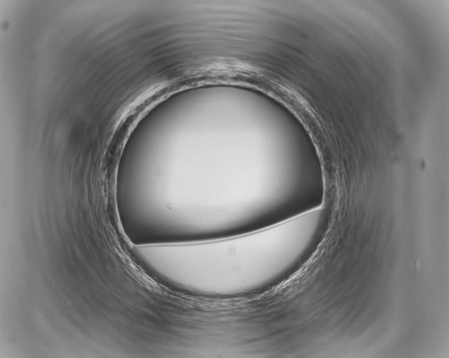 X0000087011018200704161300
