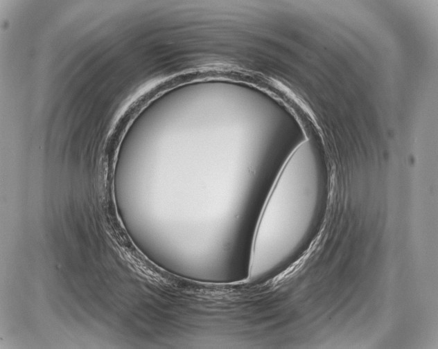 X0000087011021200704161300
