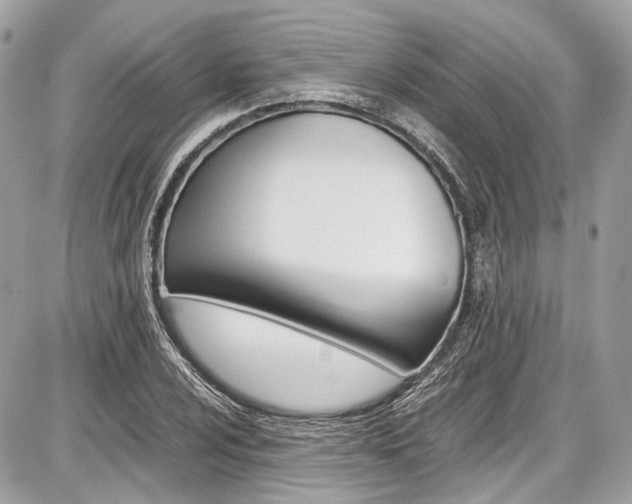 X0000087011024200704161300