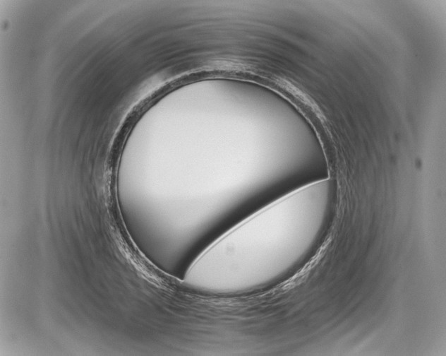 X0000087011029200704161301