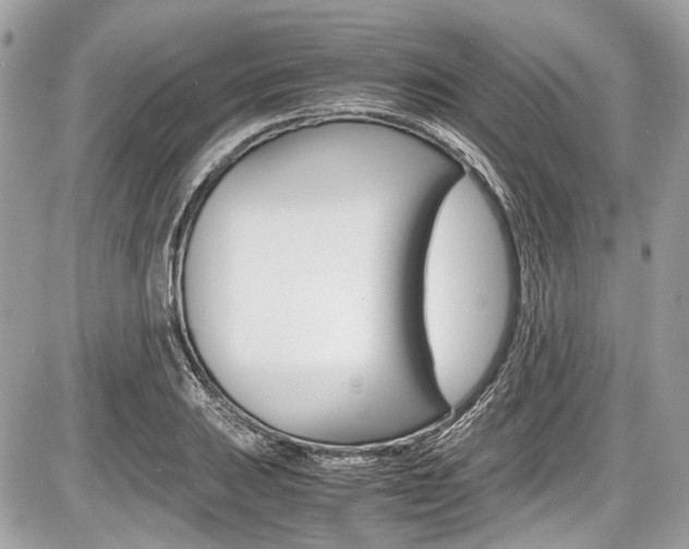 X0000087011031200704161301