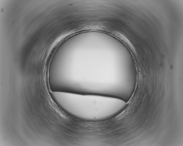 X0000087011035200704161301