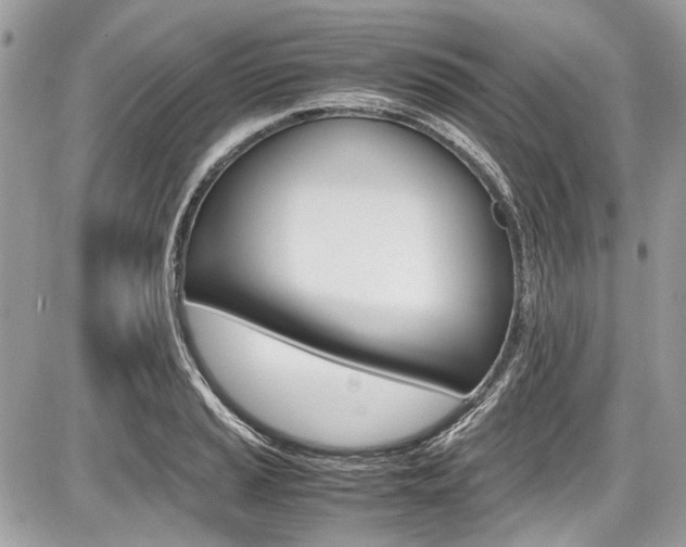 X0000087011037200704161301