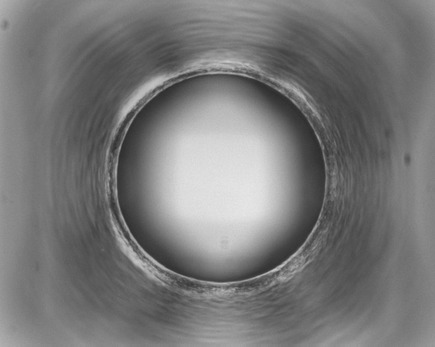 X0000087011038200704161301