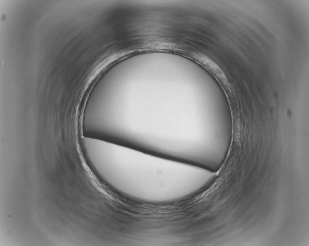 X0000087011039200704161301