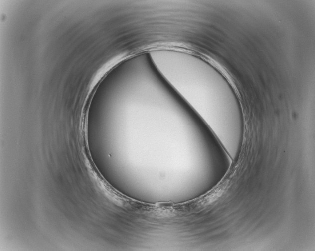 X0000087011050200704161301