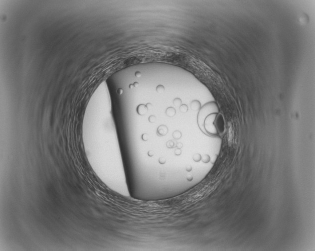 X0000087011059200704161300