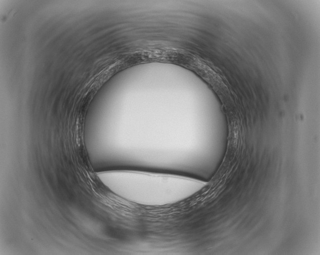 X0000087011060200704161300