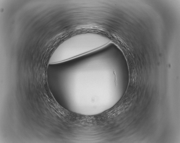X0000087011062200704161300