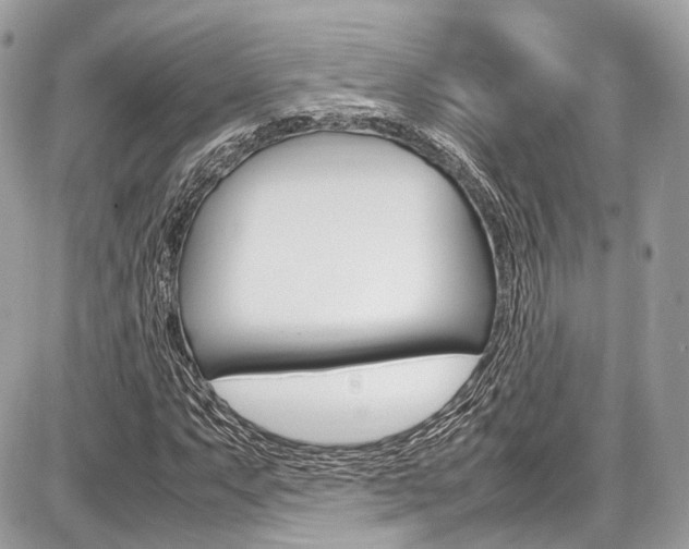 X0000087011063200704161300