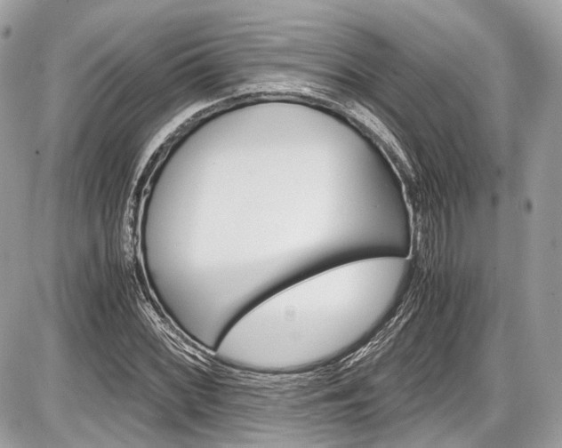 X0000087011068200704161300