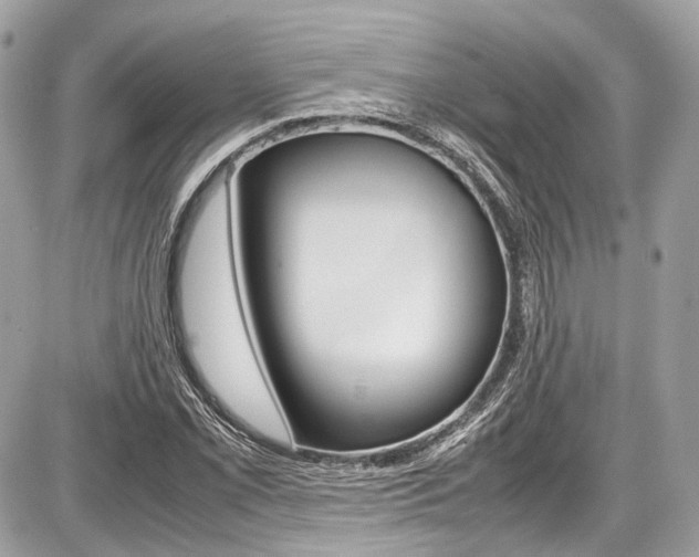X0000087011069200704161300