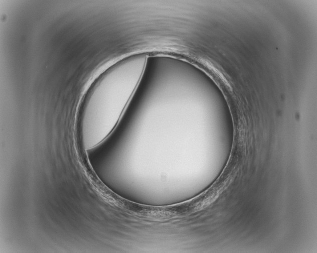 X0000087011077200704161300