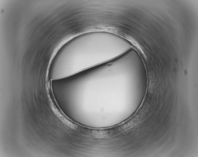 X0000087011080200704161300