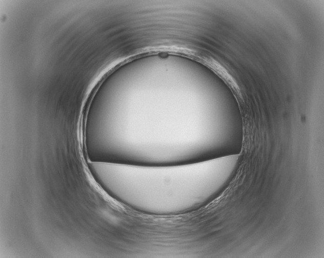 X0000087011084200704161300