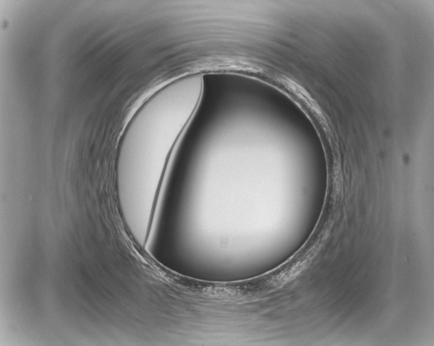 X0000087011089200704161300