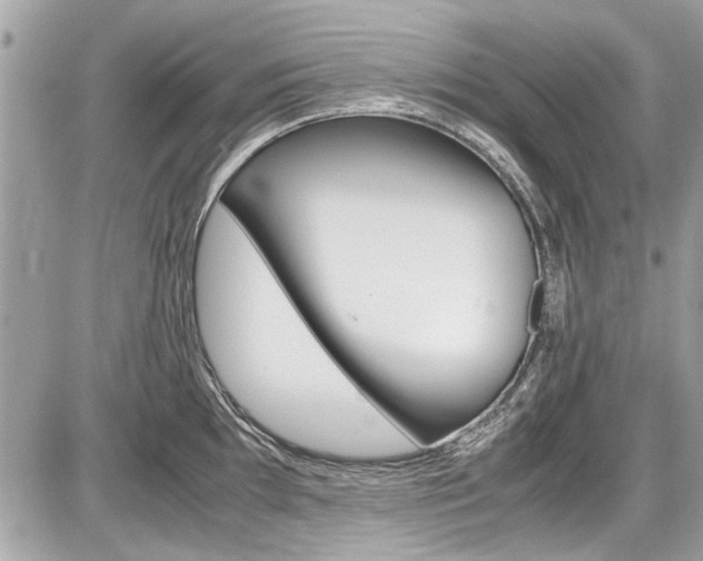 X0000087011097200704161259