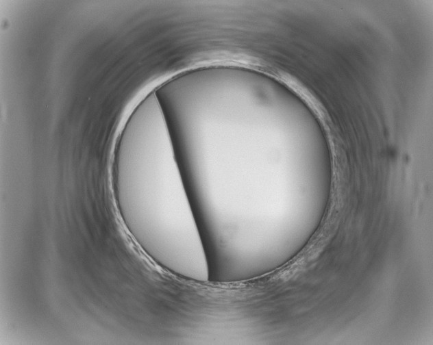 X0000087011104200704161259