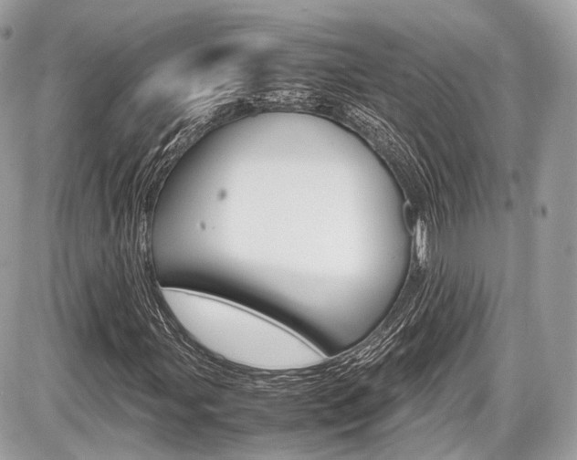 X0000087011107200704161259