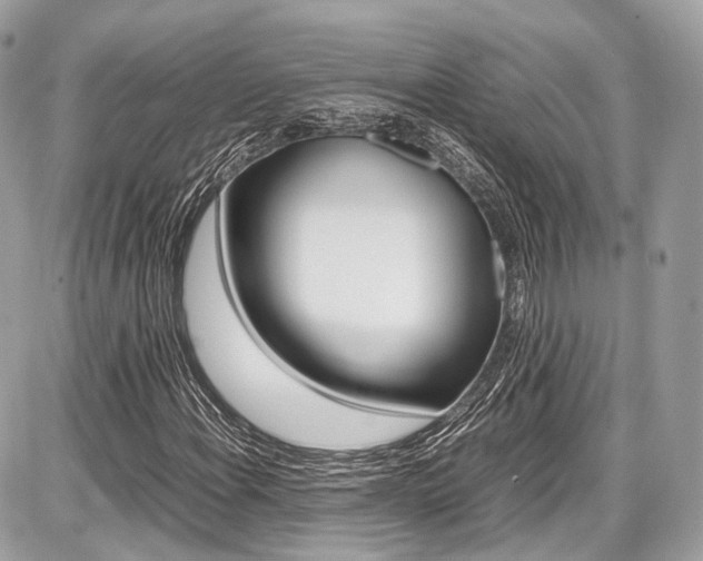 X0000087011108200704161259