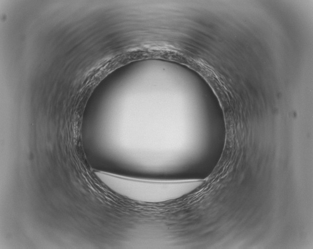 X0000087011110200704161259