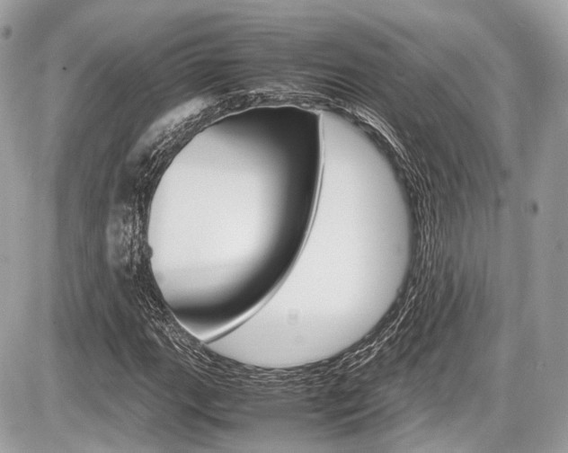 X0000087011111200704161259