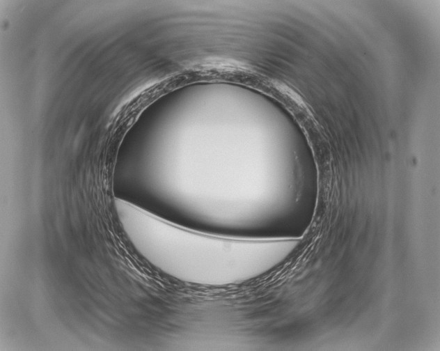 X0000087011112200704161259