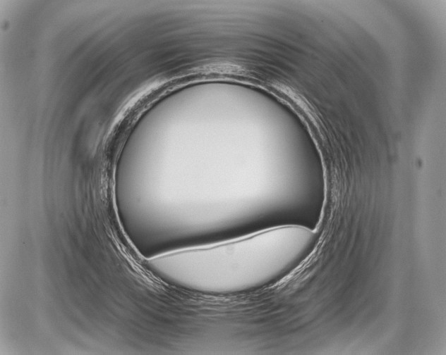 X0000087011115200704161259