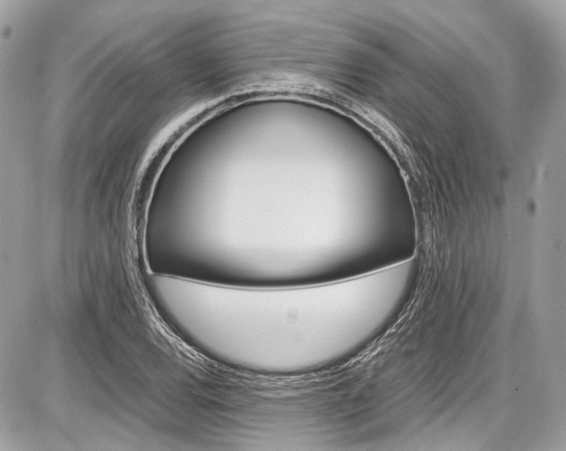 X0000087011120200704161259