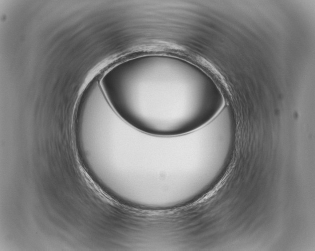 X0000087011122200704161259
