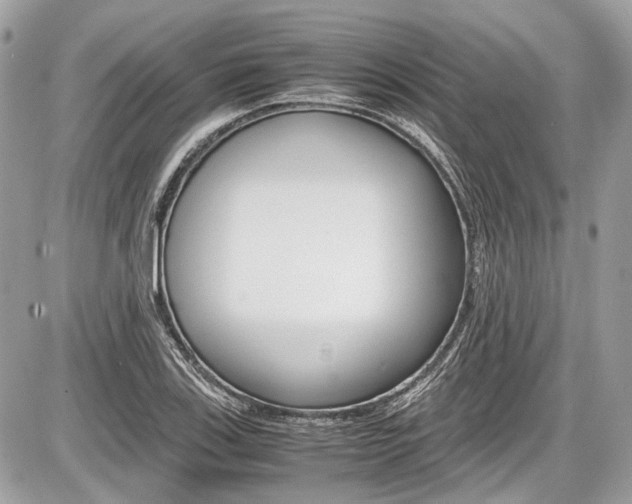 X0000087011123200704161259