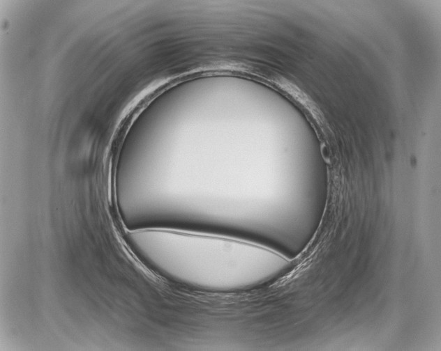 X0000087011127200704161259