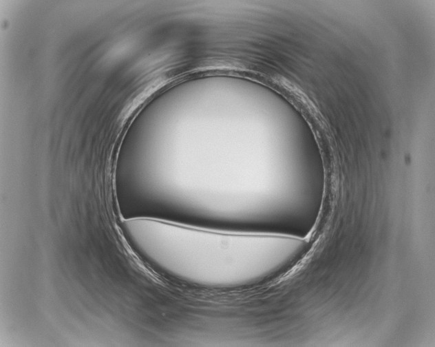 X0000087011129200704161259