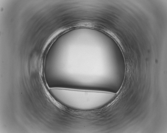 X0000087011131200704161259