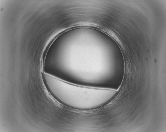 X0000087011132200704161259