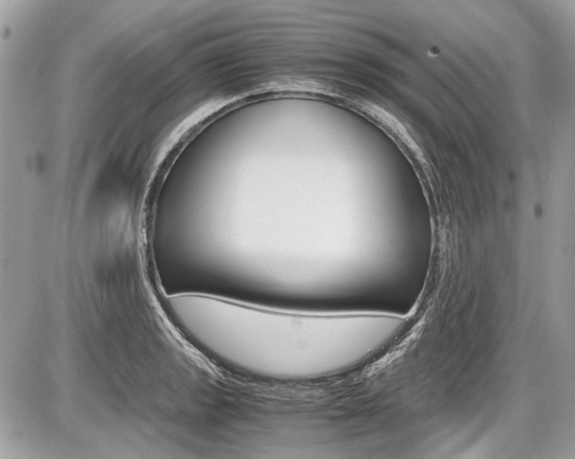 X0000087011133200704161259