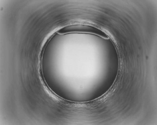 X0000087011136200704161259