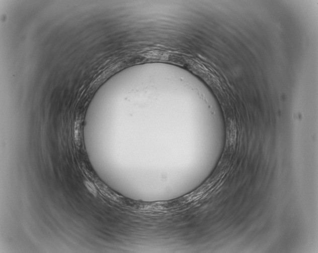 X0000087011154200704161258