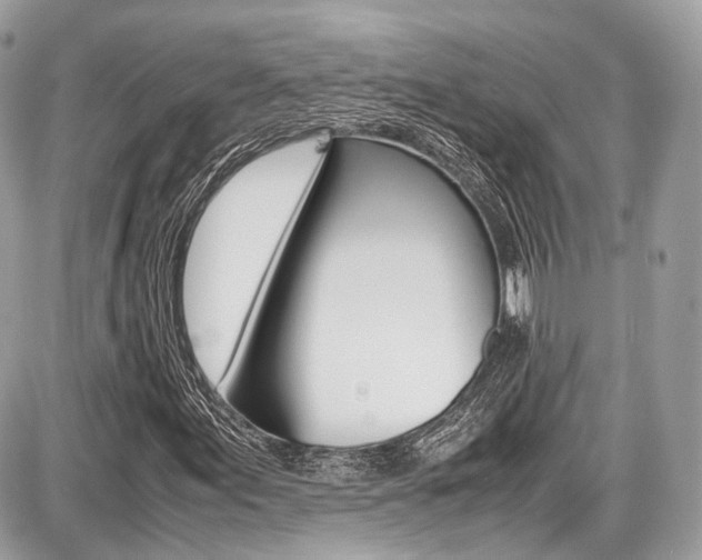 X0000087011155200704161258