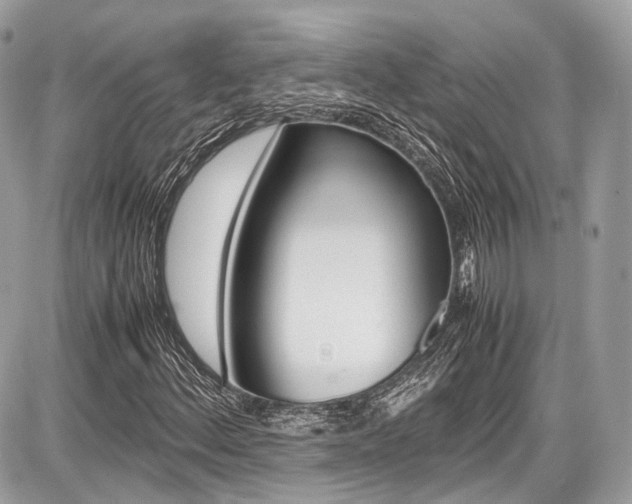 X0000087011156200704161258