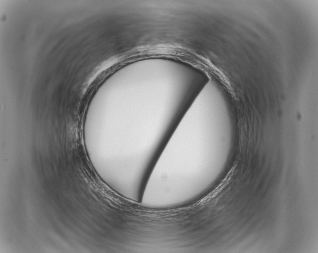 X0000087011166200704161258