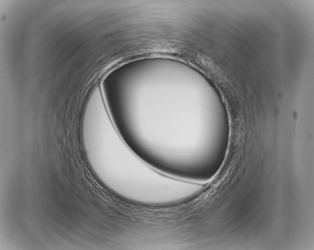 X0000087011169200704161258