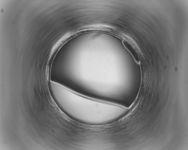 X0000087011180200704161258
