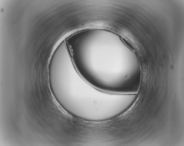 X0000087011192200704161258