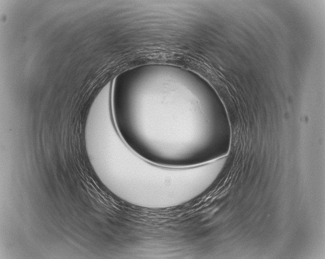 X0000087011202200704161257