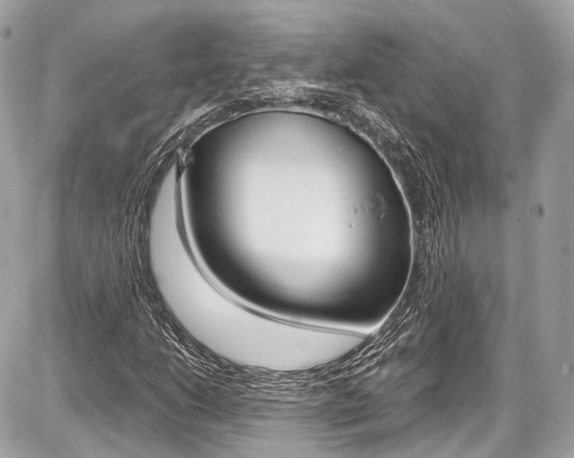 X0000087011206200704161257